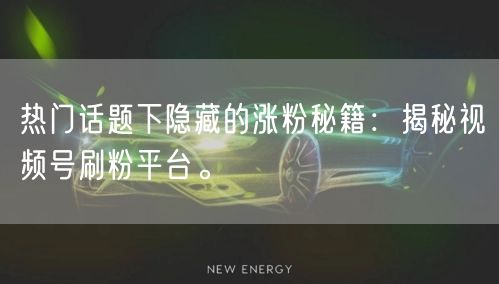 热门话题下隐藏的涨粉秘籍：揭秘视频号刷粉平台。