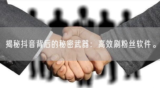 揭秘抖音背后的秘密武器：高效刷粉丝软件。