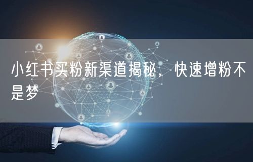 小红书买粉新渠道揭秘，快速增粉不是梦