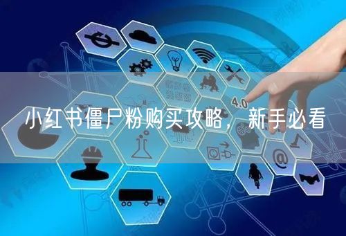 小红书僵尸粉购买攻略，新手必看