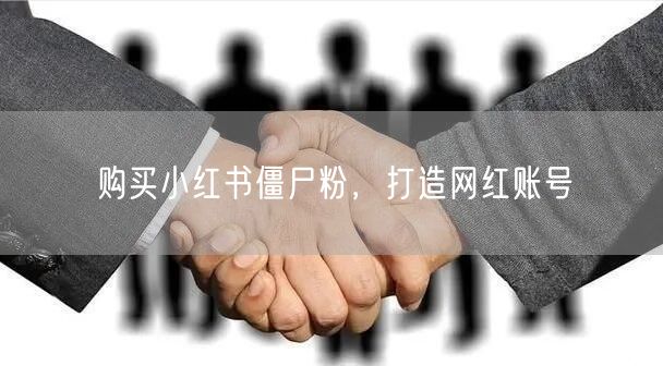 购买小红书僵尸粉，打造网红账号
