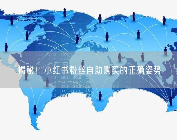 揭秘！小红书粉丝自助购买的正确姿势