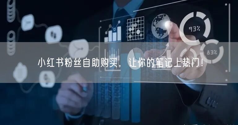 小红书粉丝自助购买，让你的笔记上热门！