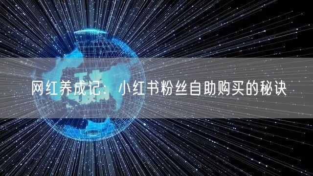 网红养成记：小红书粉丝自助购买的秘诀