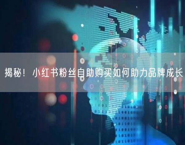 揭秘！小红书粉丝自助购买如何助力品牌成长