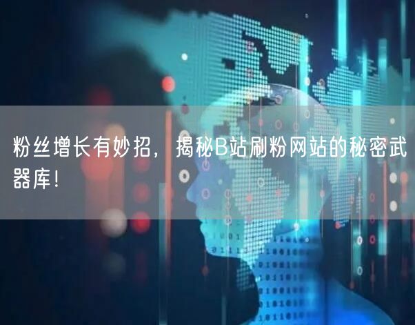 粉丝增长有妙招，揭秘B站刷粉网站的秘密武器库！