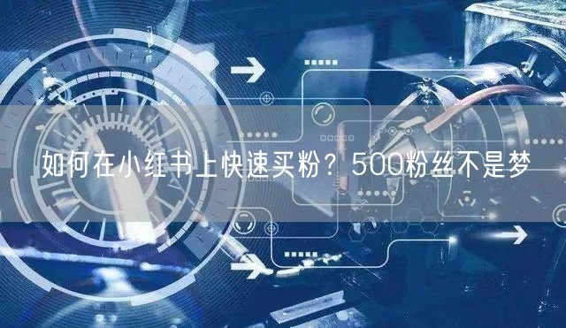 如何在小红书上快速买粉？500粉丝不是梦