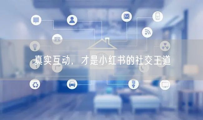 真实互动，才是小红书的社交王道
