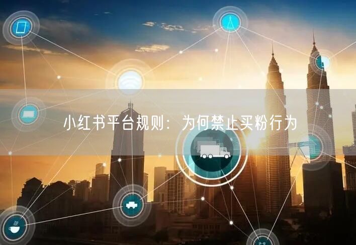 小红书平台规则：为何禁止买粉行为